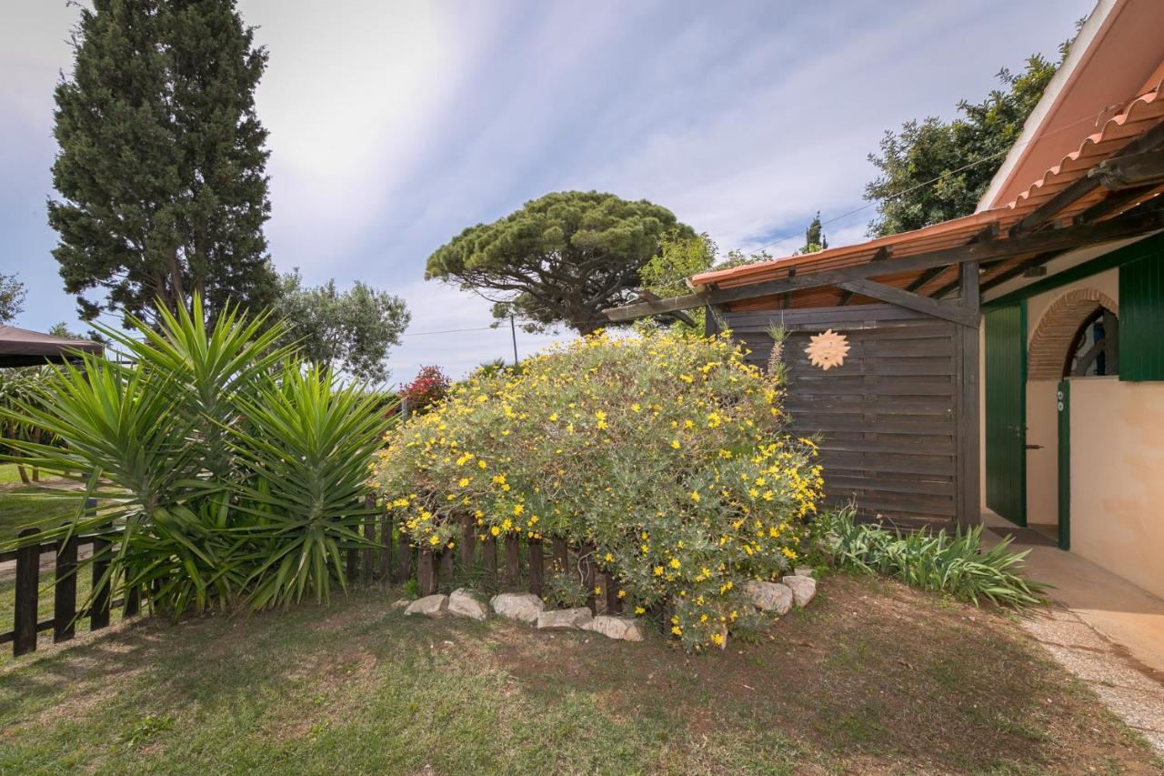 Podere Isabella San Vincenzo Exterior foto
